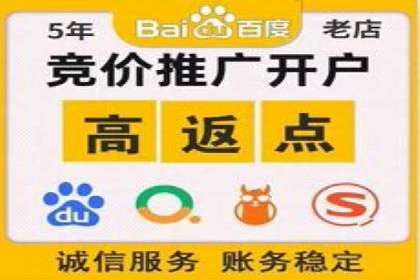 案例研究：关键词竞价排名实战技巧